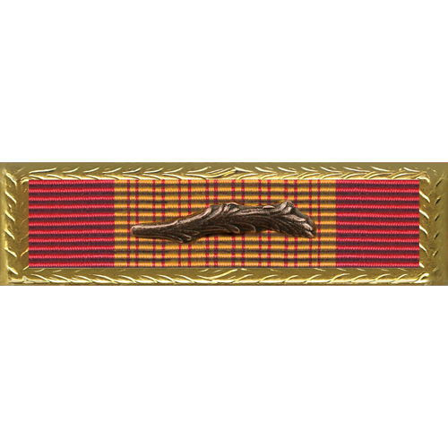 Army citation: Vietnam Gallantry Cross
